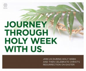Journey through Holy Week with us.