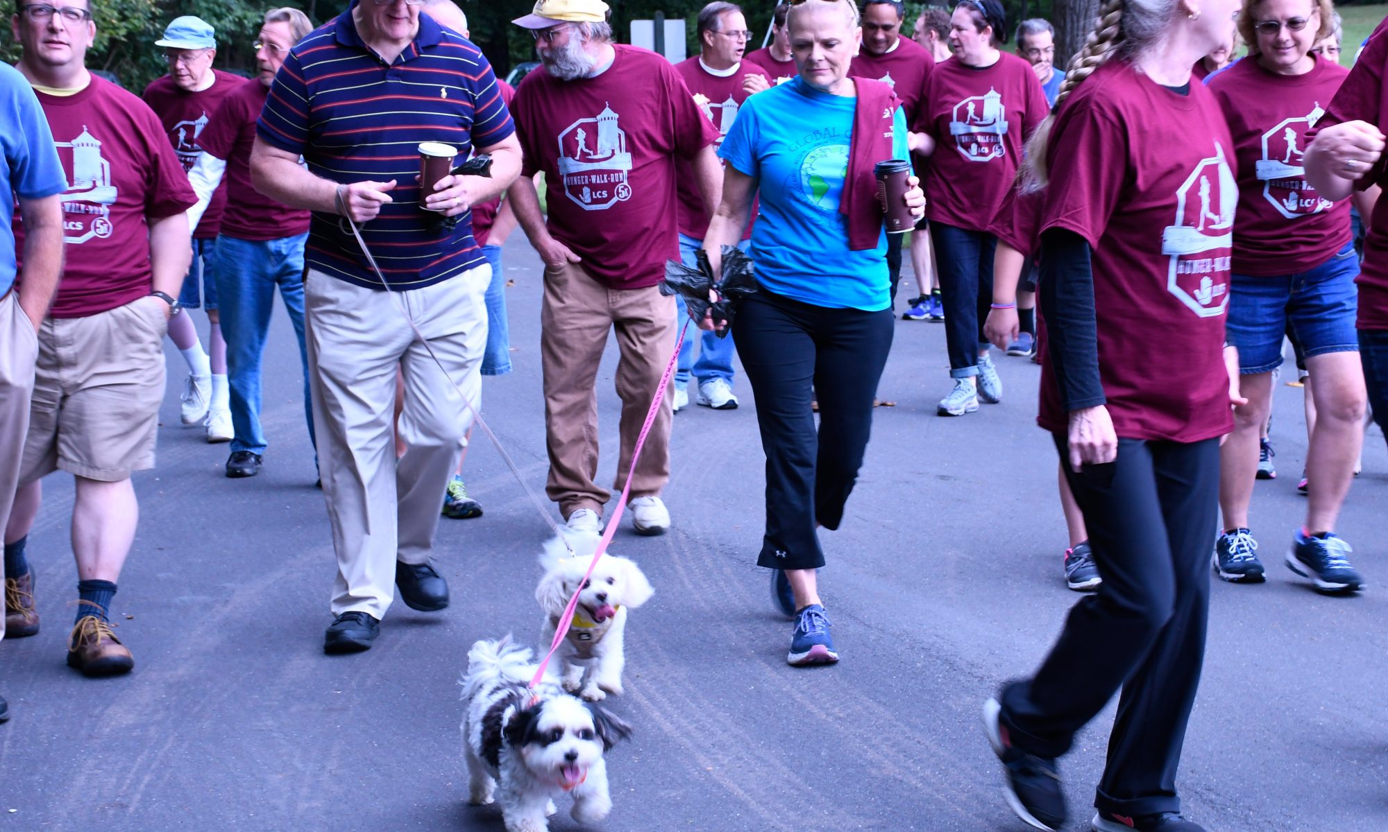 A group of walkers during the 2018 event.