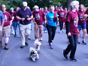 A group of walkers during the 2018 event.