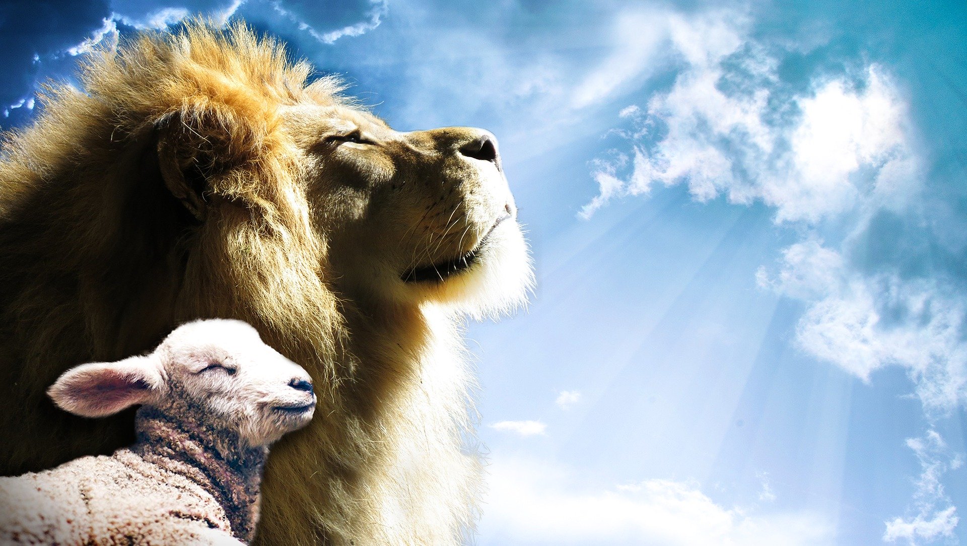 Image of lamb and lion by Jeff Jacobs from Pixabay