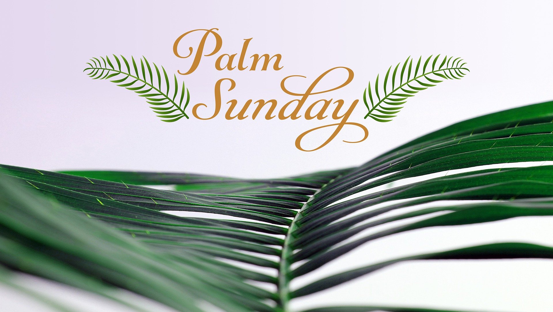 “He gave him no answer, not even to a single charge:” Palm Sunday ...