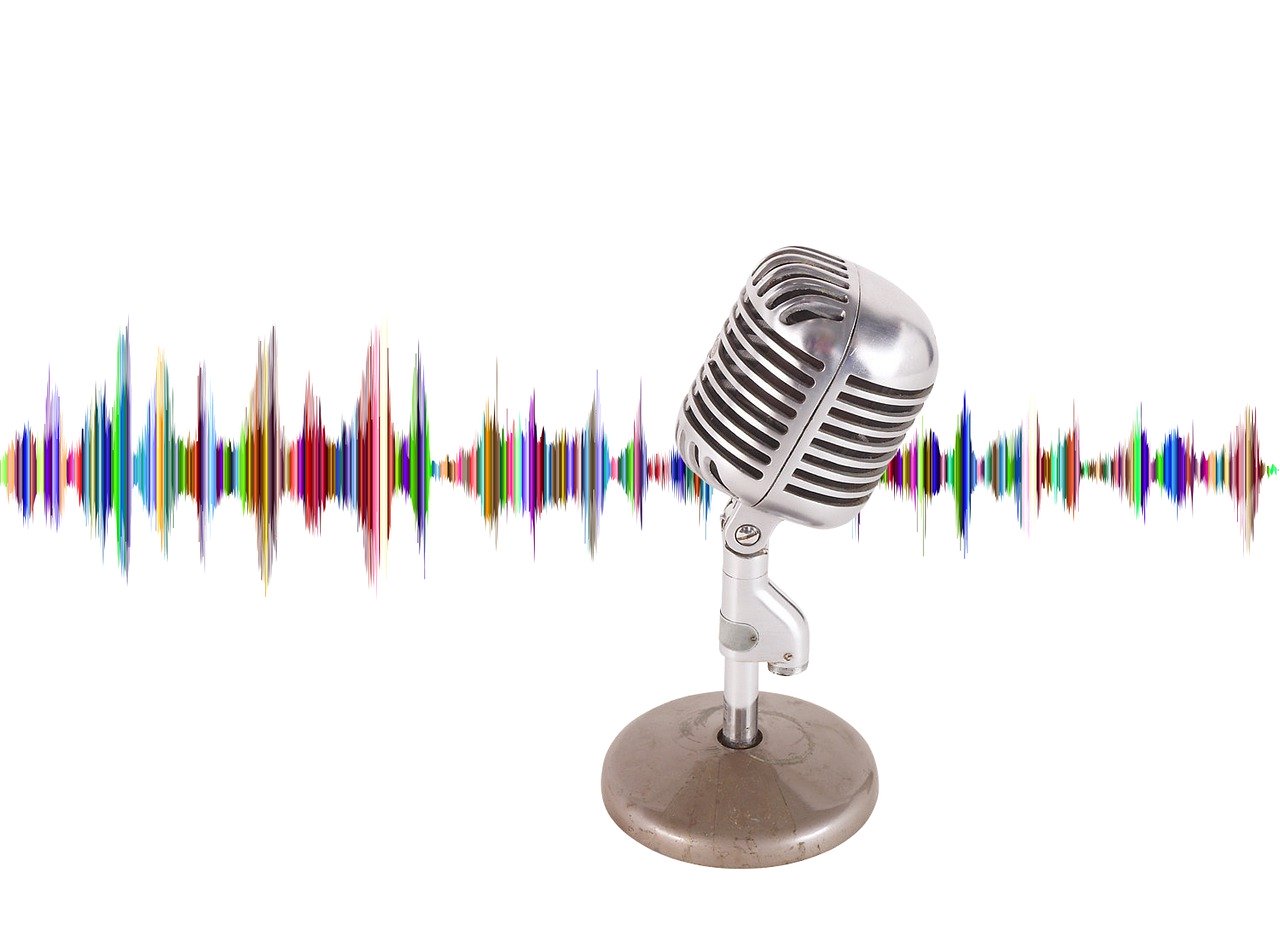 Microphone and digital audio image