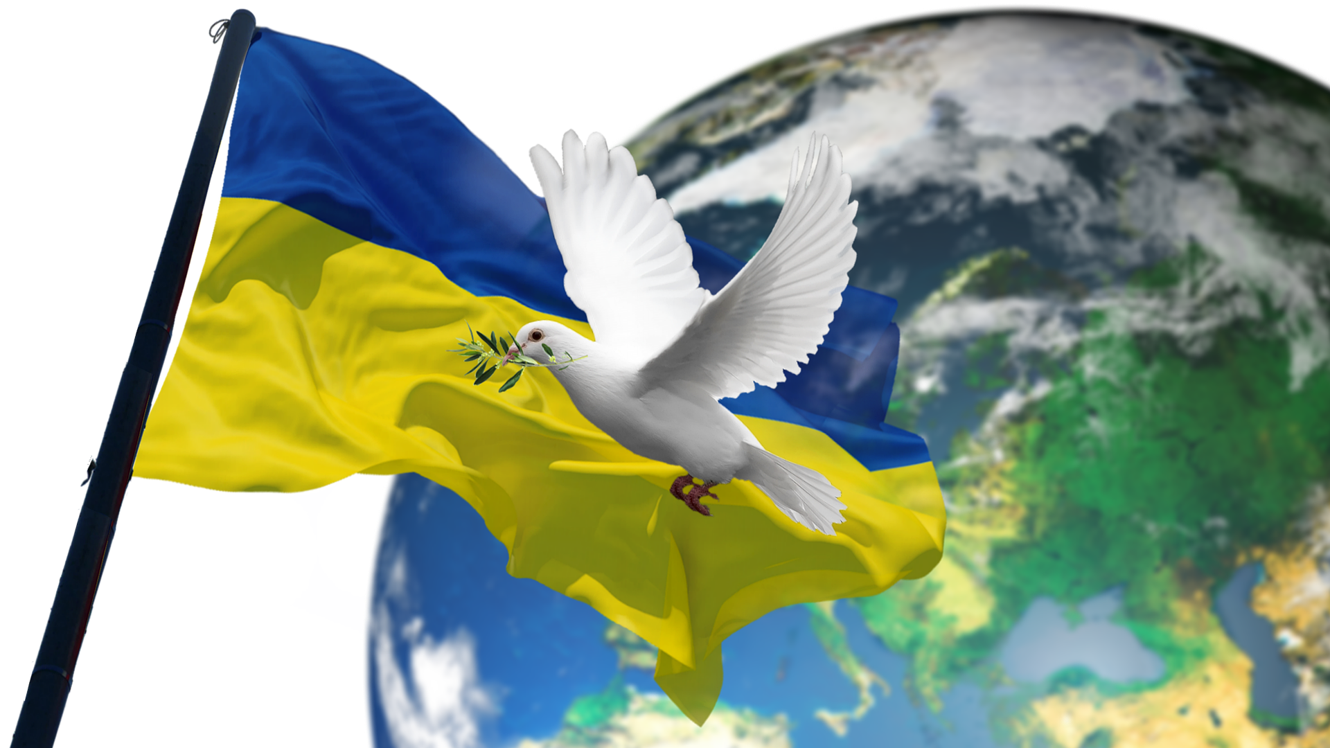 A dove and the flag of Ukraine
